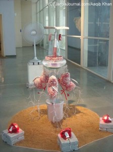 Transformation-ArtGallery-22Feb2011-AaqibKhan3937